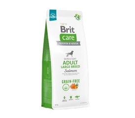 Brit Care Grain-Free Adult Large Breed Salmon koeratoit, 12kg hind ja info | Kuivtoit koertele | kaup24.ee