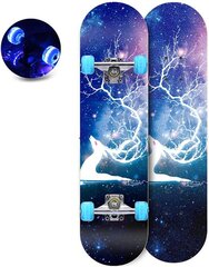 Rula Aoli Skateboard LED, 80 cm hind ja info | Rulad | kaup24.ee