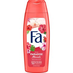 Fa dušigeel (250 ml) hind ja info | Dušigeelid, õlid | kaup24.ee