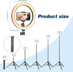 LED-rõngasvalgusti 1,6 m statiivi ja telefonihoidikuga, Livman, X-409-10H (led ring) hind ja info | Fotovalgustuse seadmed | kaup24.ee