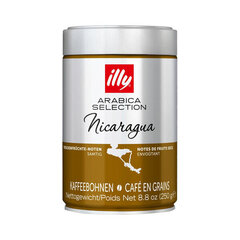 Кофе illy Arabica Selection - Никарагуа 250 г цена и информация | Кофе, какао | kaup24.ee