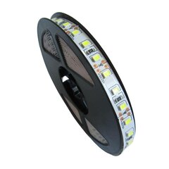 LED ribad 600 9.6W/m 3000K 600lm/m 12V IP20 /5m/ hind ja info | LED ribad | kaup24.ee