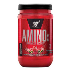 Пищевая добавка BSN Amino X 435 г, Watermelon Flavor цена и информация | Аминокислоты | kaup24.ee