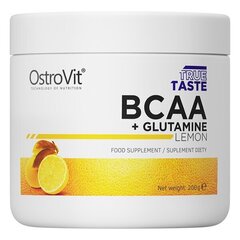 Toidulisand - OstroVit BCAA aminohapped + glutamiin (200 g) hind ja info | Aminohapped | kaup24.ee