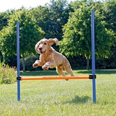 Barjäär Trixie Agility hind ja info | Dresseerimise vahendid koertele | kaup24.ee