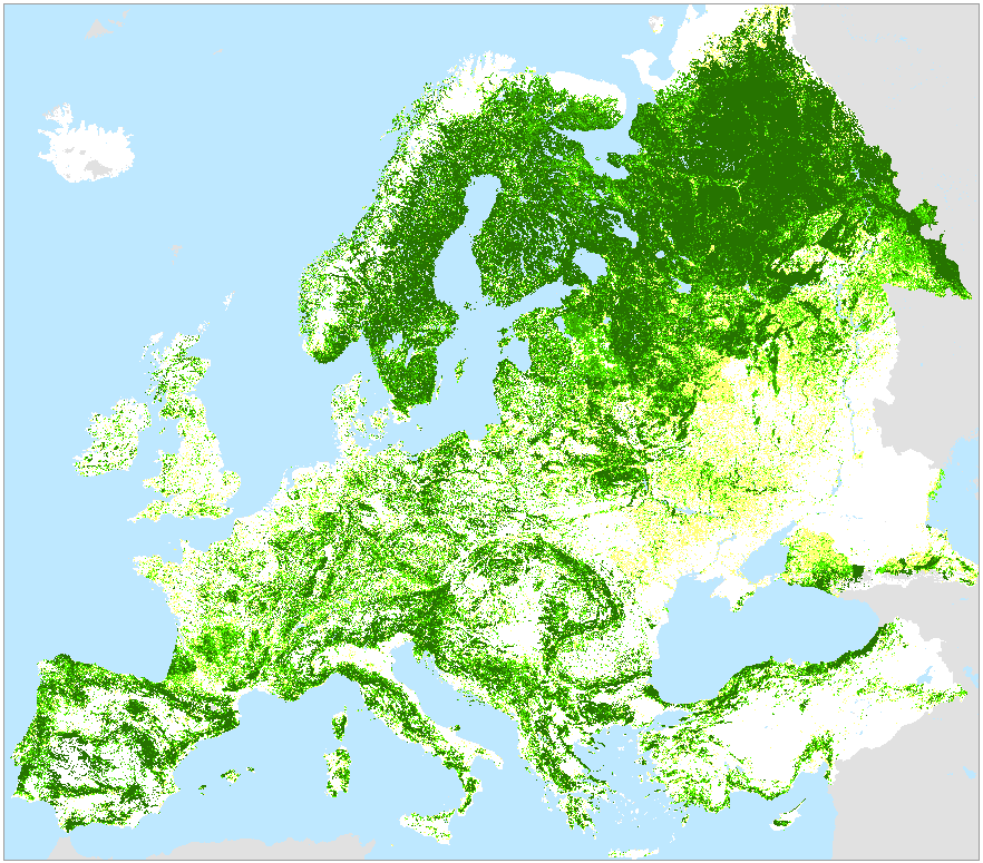 Forest map