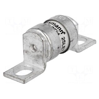 Fuse: fuse | 25A | 240VAC | 150VDC | ceramic,industrial | LET