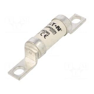 Fuse: fuse | gG,gL | 80A | 500VAC | ceramic,industrial