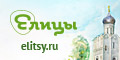 Православная социальная сеть «Елицы»