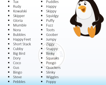 350+ Most Popular Penguin Names (Cute and Funny)