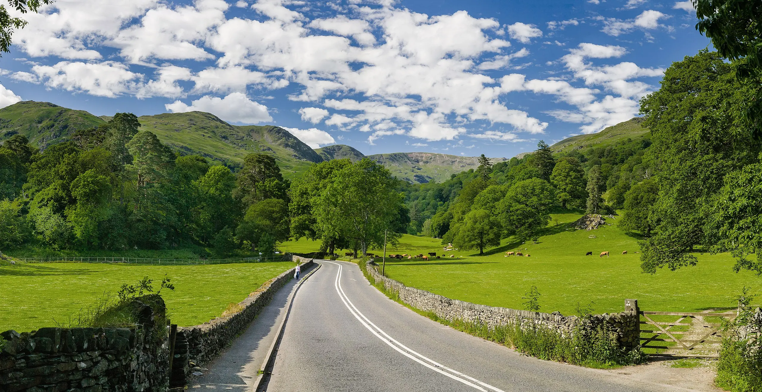 The A591 road as it passes through the countryside between Ambleside and Grasmere in the Lake District, England.