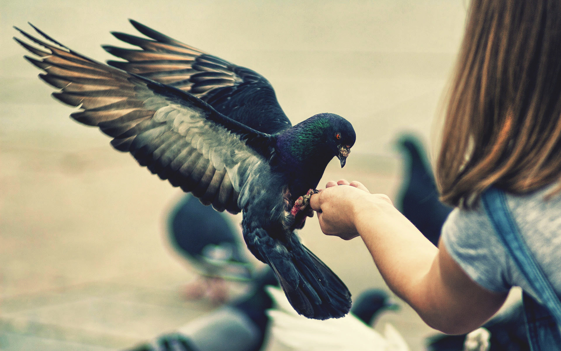 Stunning Bird in Hand Wallpaper