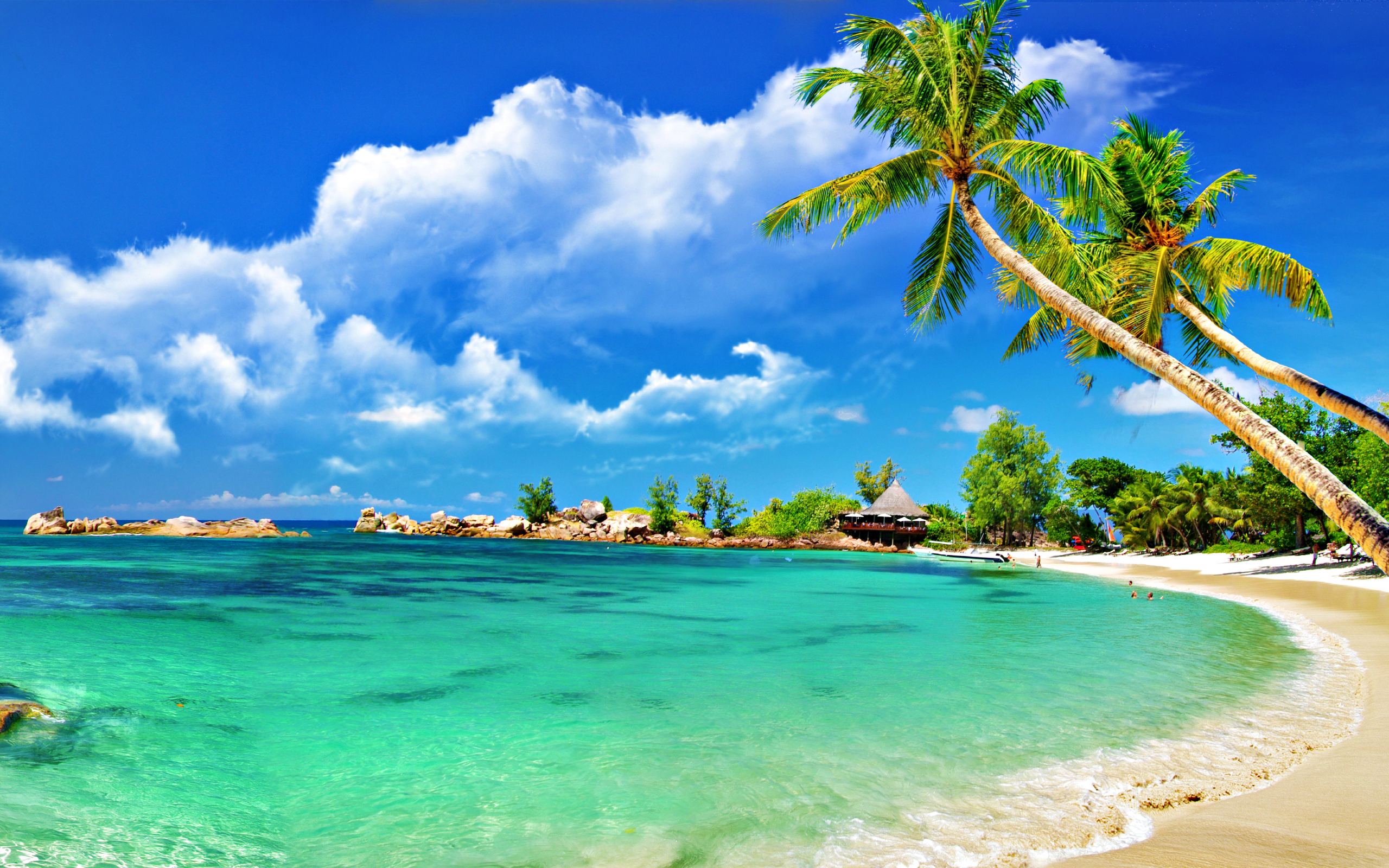 Tropical Wallpaper 12547. Category: Beach Resolution: 2560x1600px