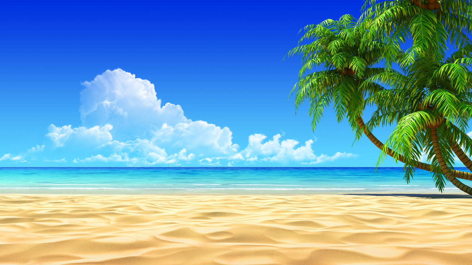 ... beach wallpaper ...