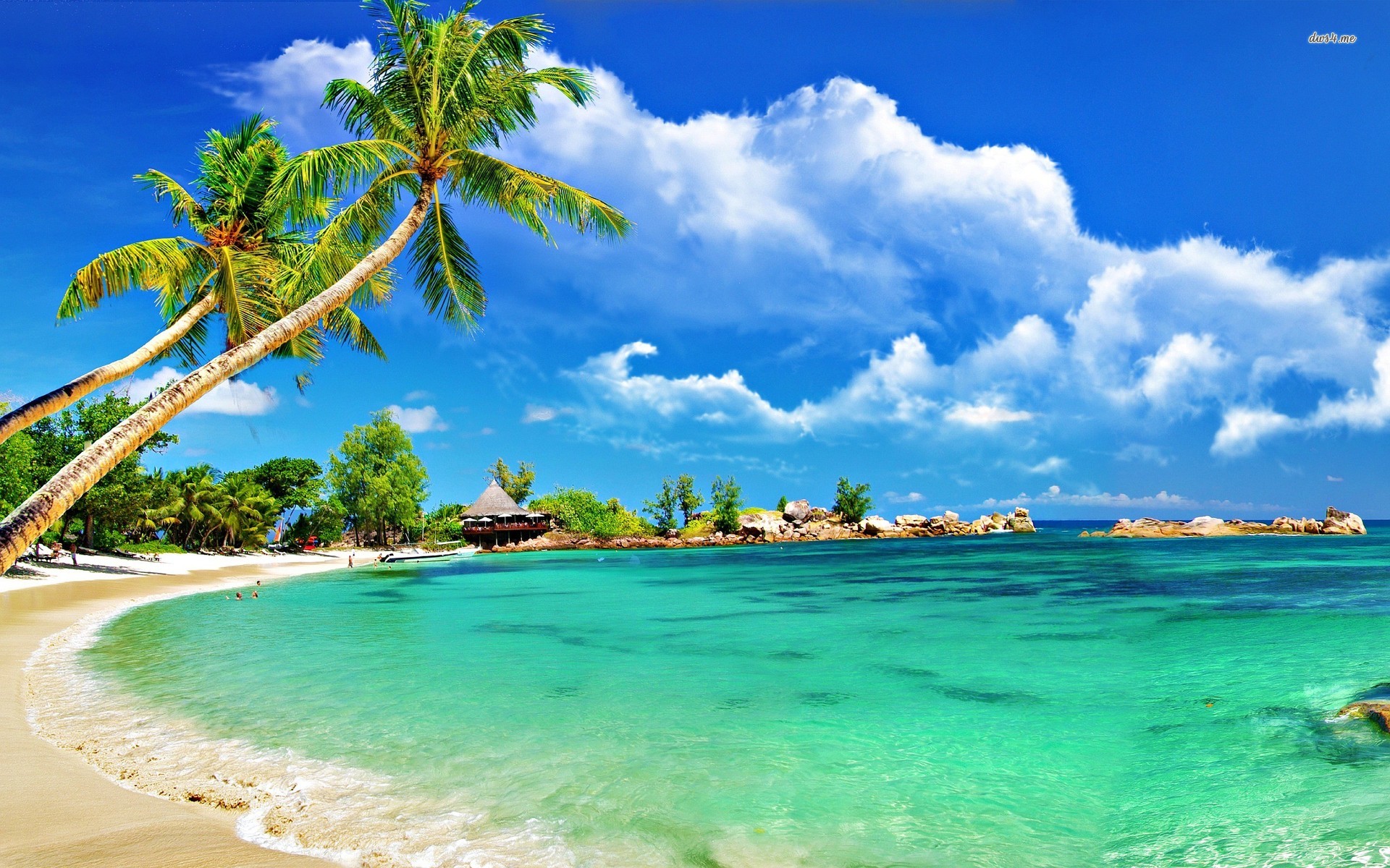 ... Tropical beach wallpaper 1920x1200 ...