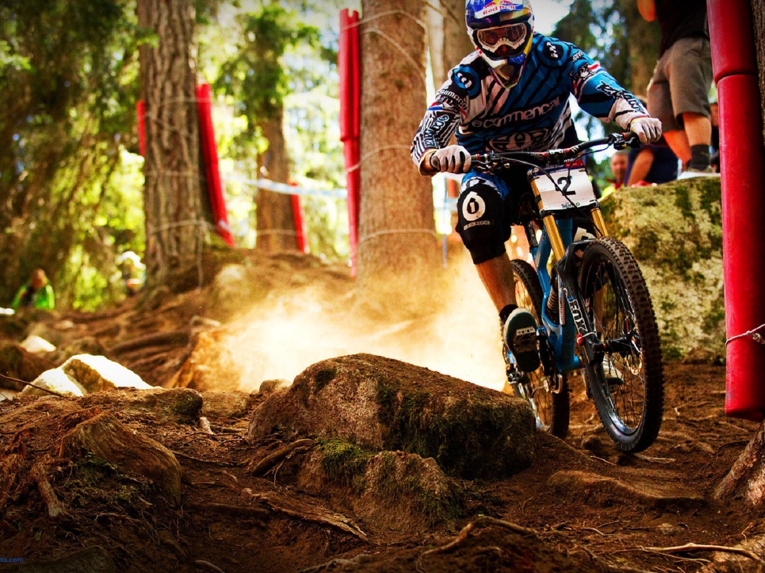 Downhill HD Wallpaper