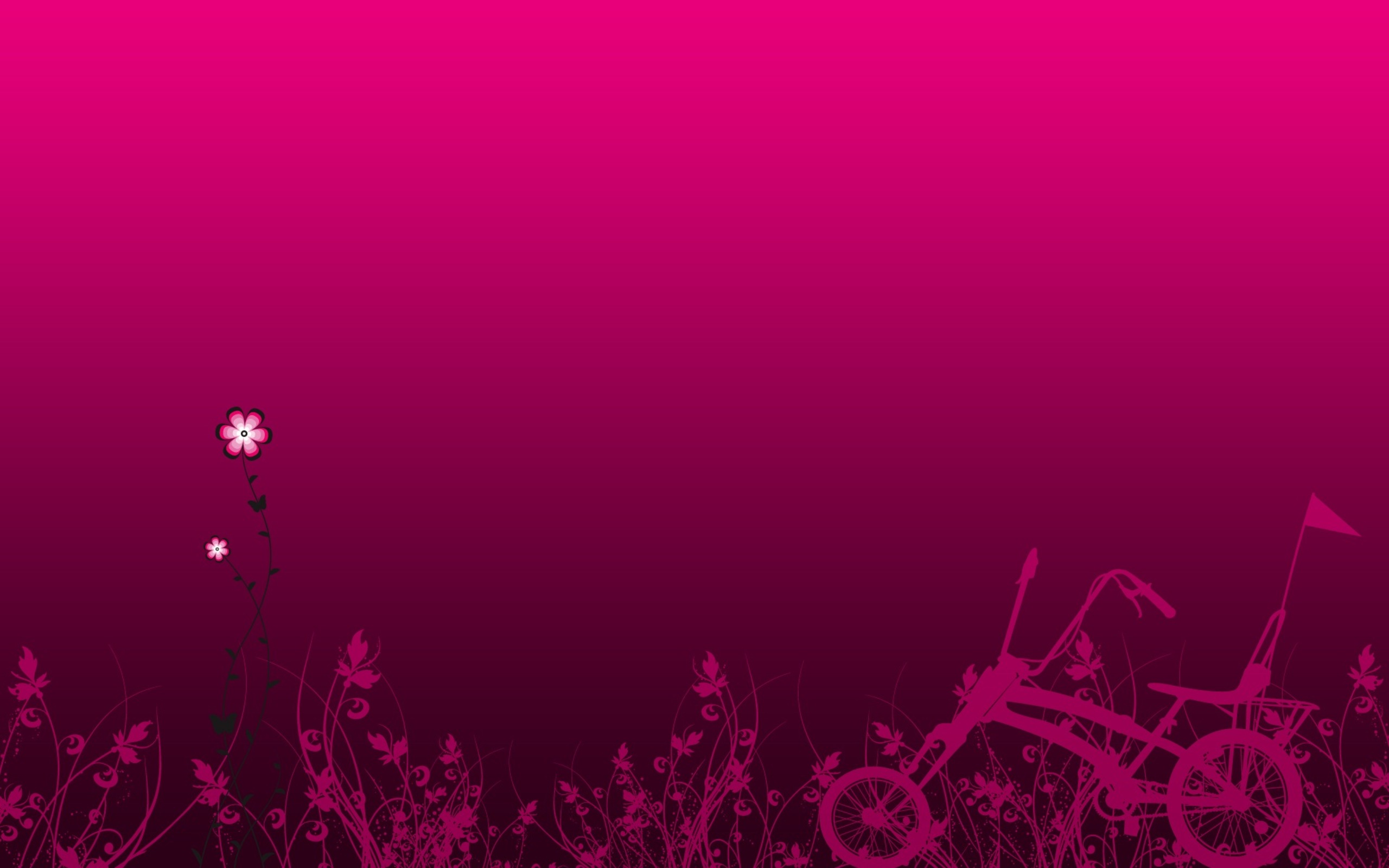 Fuchsia Wallpaper