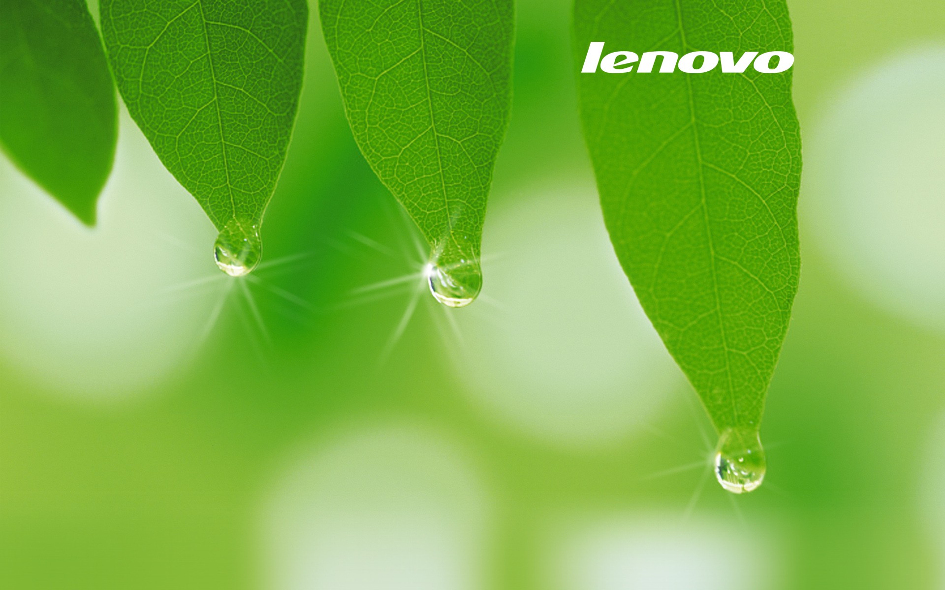 Free Lenovo Wallpaper