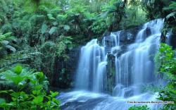 2013 New Waterfall Feb Free Screensavers And