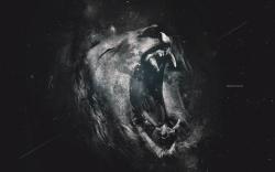 Lion grayscale art