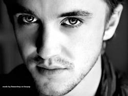 Tom Felton Tom Felton Wallpaper - Photoshoots