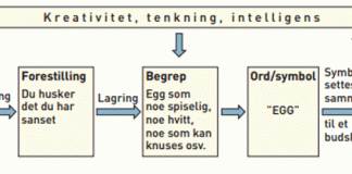 kognitivt-kart