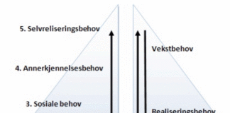 maslow-vs-erg teorien