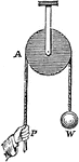 "[This illustration] represents a fixed pulley. The block is attached to a projecting beam. P is the power, and W the weight. For every inch that P descends, W ascends the same distance." &mdash;Quackenbos 1859