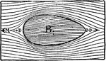 Aerodynamic of the ellipse where the area at point DD is small. The small area creates less resistance for the plane while in flight.