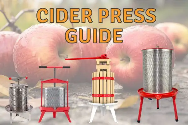 Best Cider Presses in 2024 (Beginners Guide!)