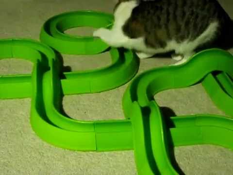Venus + 4 Bergan Turbo Track Sets - YouTube