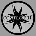 Cosmicleaf Records image