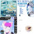 okashii thumbnail
