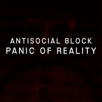 Panic Of Reality cover art
