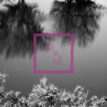 Vertical Migration cover art