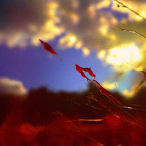 What Ya Gotta Do? cover art