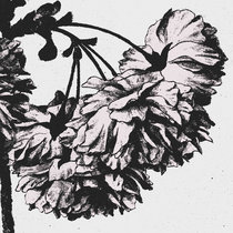 Milagro (single) cover art