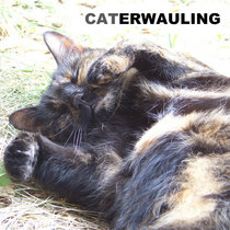 Caterwauling cover art