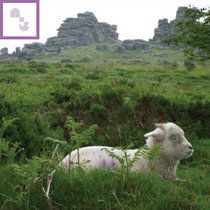 Memories,Moods & Moogs cover art