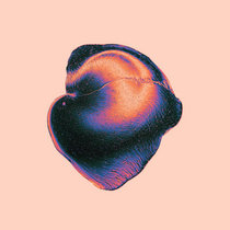 Nadia Struiwigh - Feroit (Legiac remix) cover art