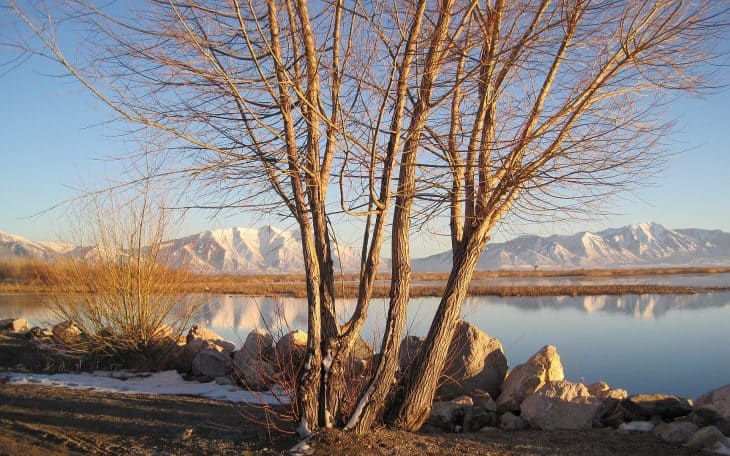 Nutty Putty Cave, Utah Lake