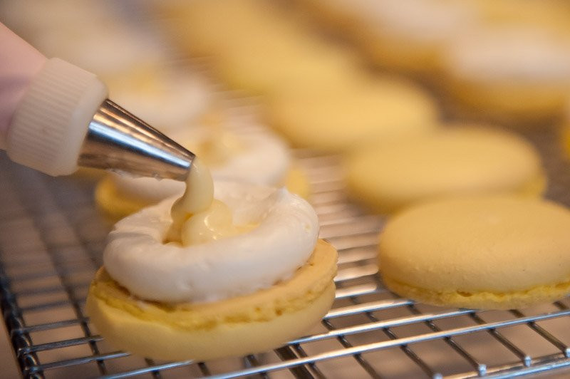 Lemon Macaron 9