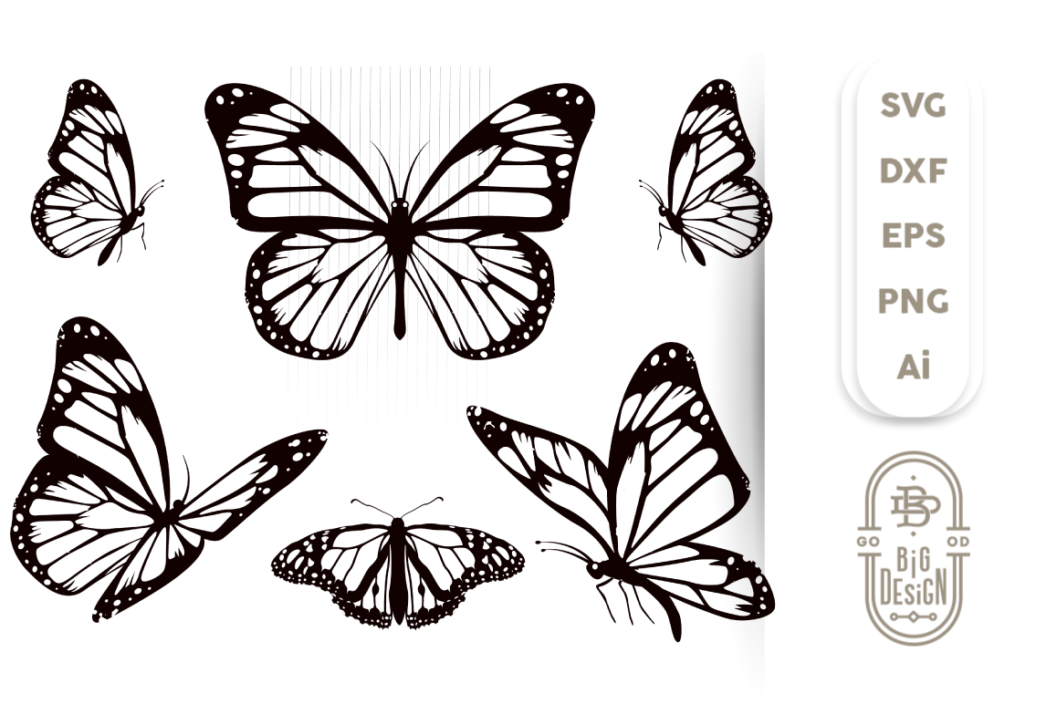 Butterfly Design SVG