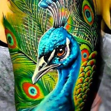 Peacock Head Tattoo