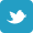 Twitter or X icon, light blue square with bird image