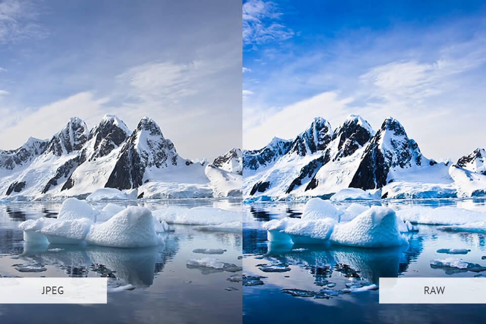 jpeg vs raw