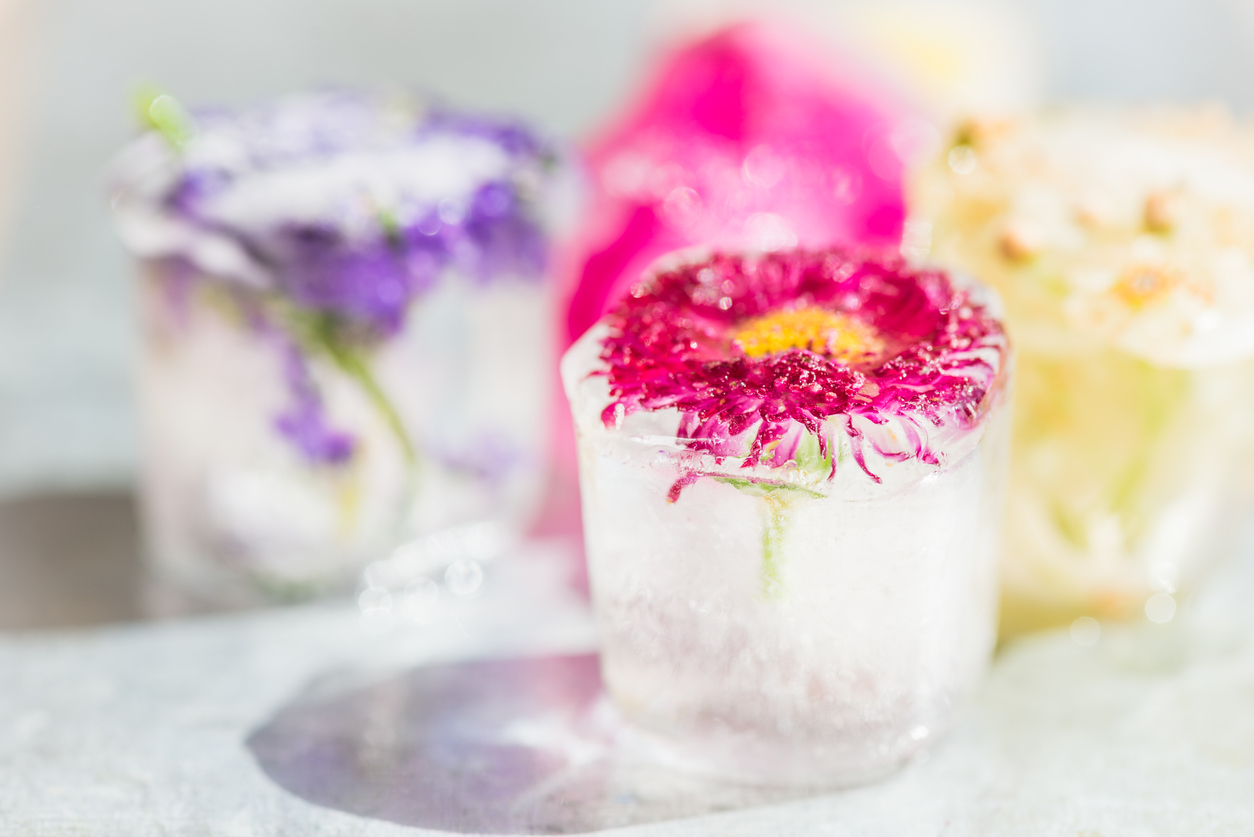 Frozen Flowers in Ice Cubes