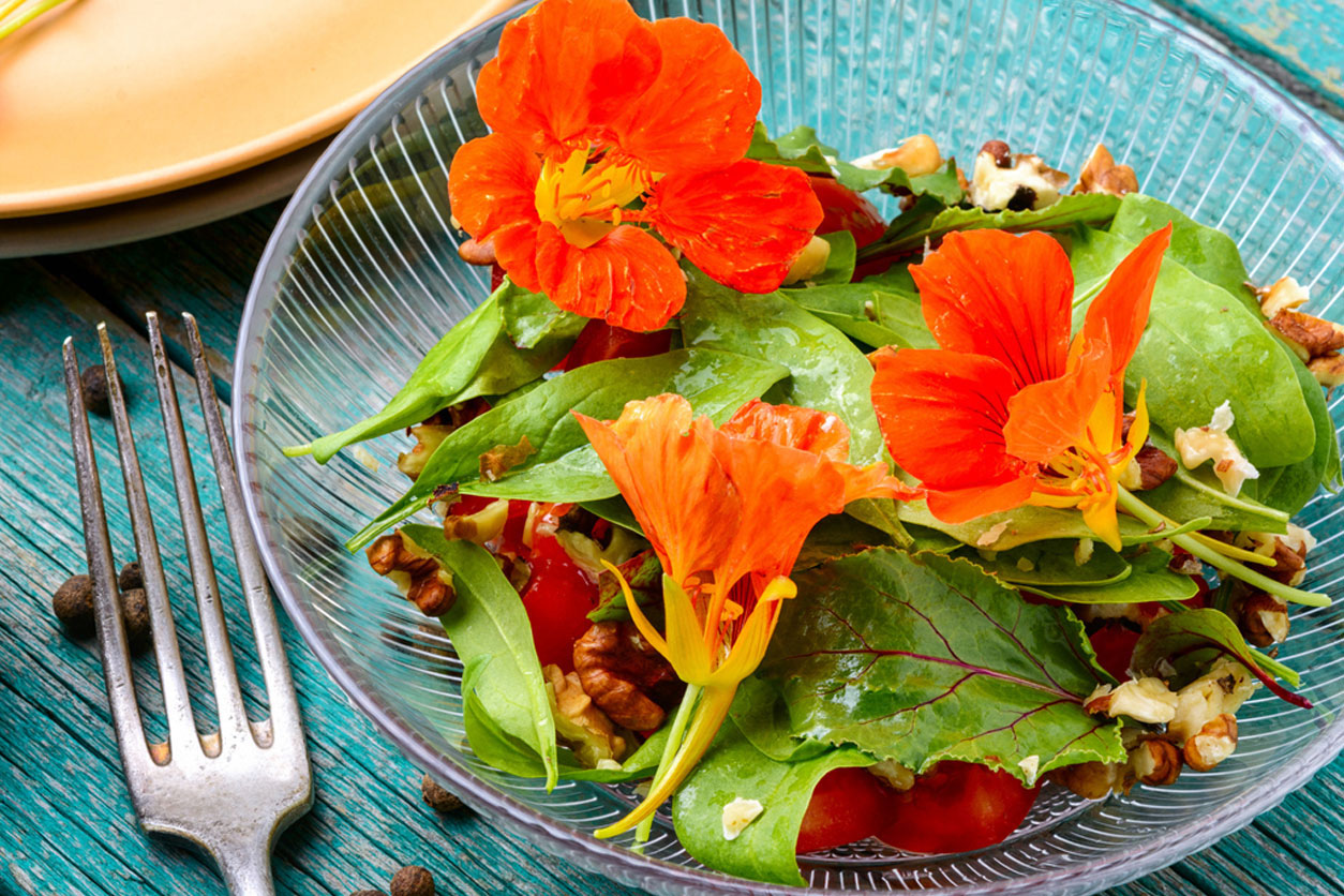 salad with vegetables and nasturtium