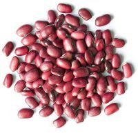 Adzuki Beans