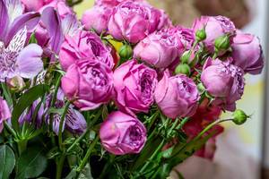 Bouquet of purple flowers with buds